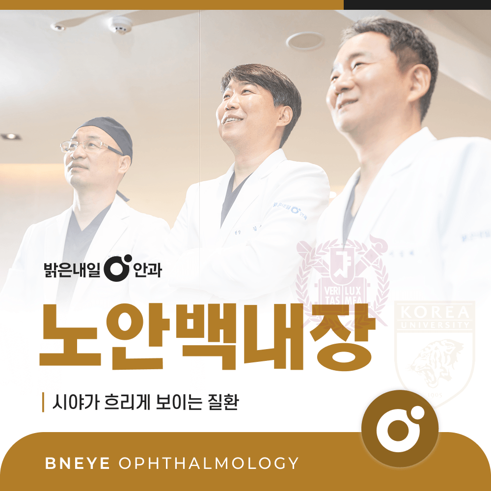 은평구 노안백내장 완전정리 – 인공수정체 4가지 비교와 수술 시기 판단 기준